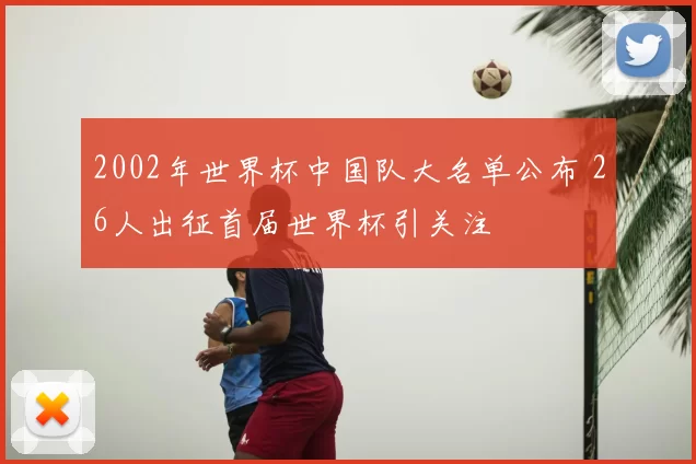 2002年世界杯中国队大名单公布 26人出征首届世界杯引关注