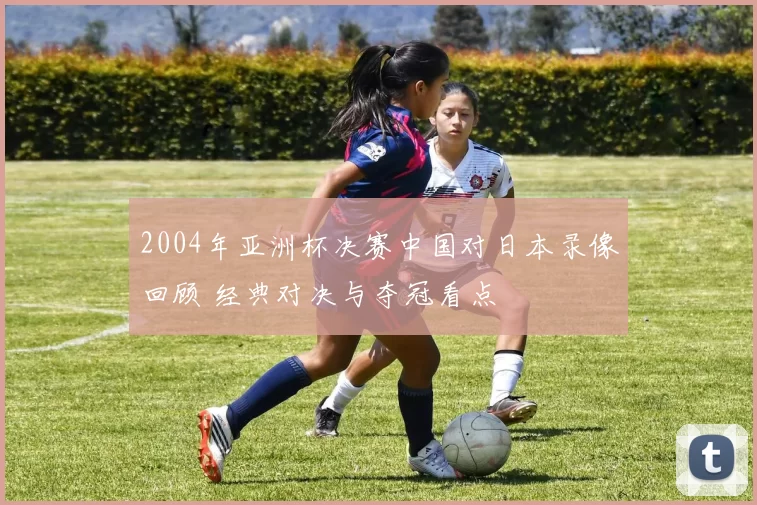 2004年亚洲杯决赛中国对日本录像回顾 经典对决与夺冠看点