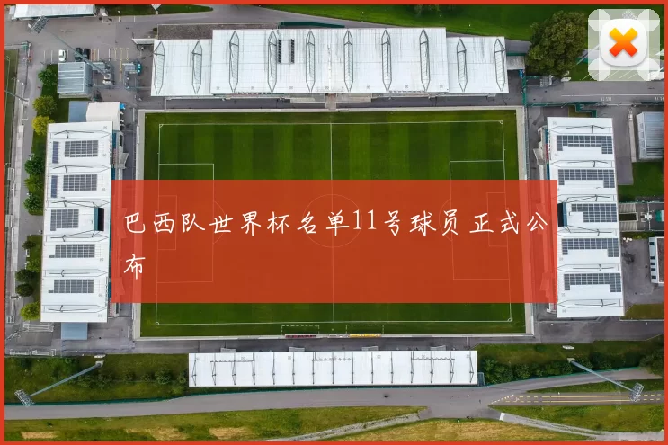 巴西队世界杯名单11号球员正式公布