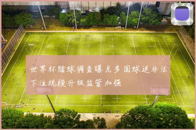 世界杯赌球调查曝光多国球迷非法下注规模升级监管加强