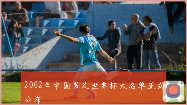 2002年中国男足世界杯大名单正式公布