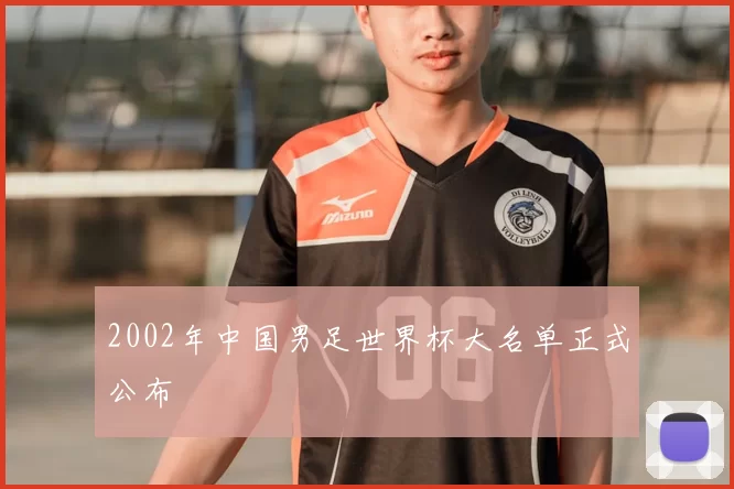 2002年中国男足世界杯大名单正式公布