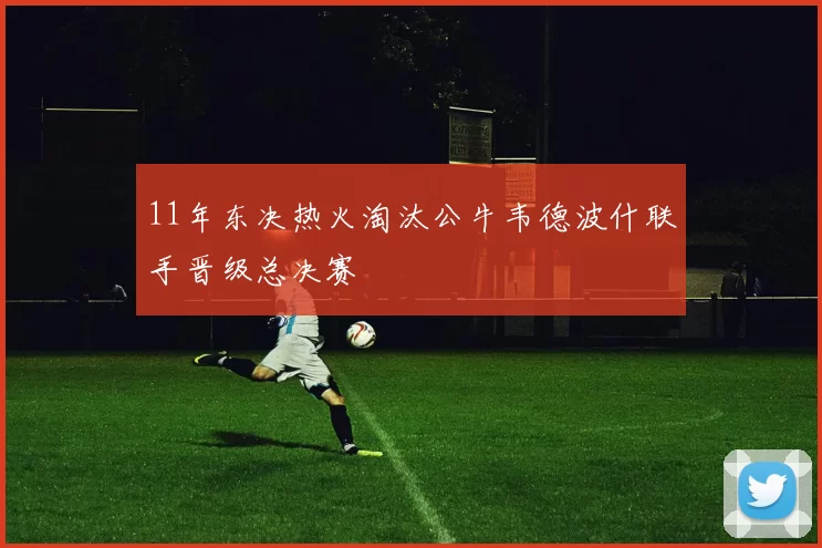 11年东决热火淘汰公牛韦德波什联手晋级总决赛