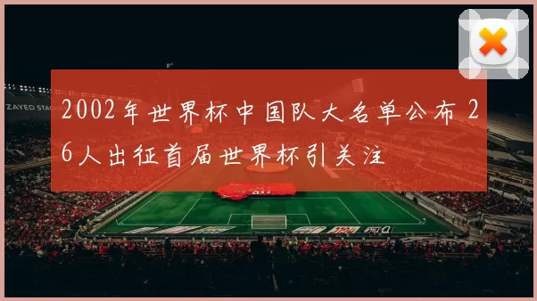 2002年世界杯中国队大名单公布 26人出征首届世界杯引关注